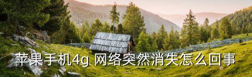 蘋果手機4g 網(wǎng)絡(luò)突然消失怎么回事
