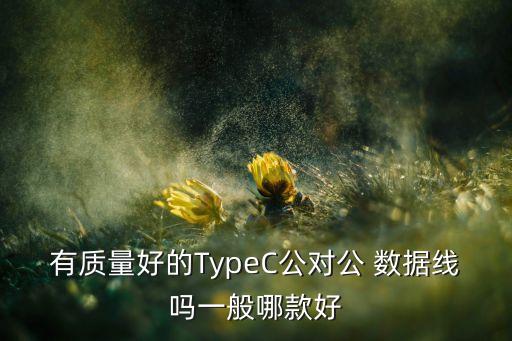 有質(zhì)量好的TypeC公對(duì)公 數(shù)據(jù)線嗎一般哪款好