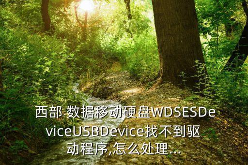  西部 數據移動硬盤WDSESDeviceUSBDevice找不到驅動程序,怎么處理...