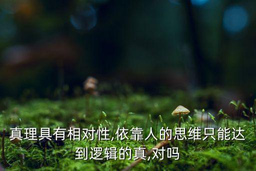 真理具有相對性,依靠人的思維只能達(dá)到邏輯的真,對嗎
