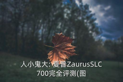 夏普手機機器人多少錢,日本夏普手機多少錢