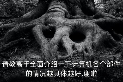 請(qǐng)教高手全面介紹一下計(jì)算機(jī)各個(gè)部件的情況越具體越好,謝啦