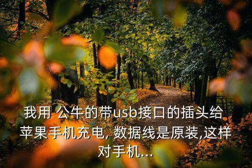 公牛數(shù)據(jù)線和蘋果