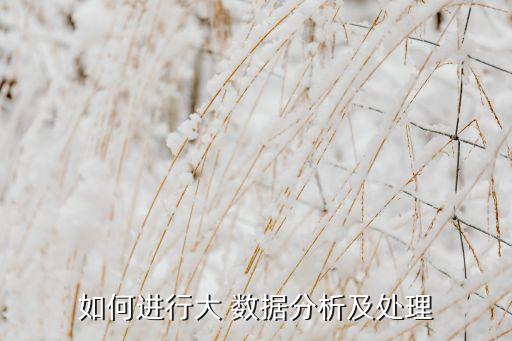如何進行大 數(shù)據(jù)分析及處理