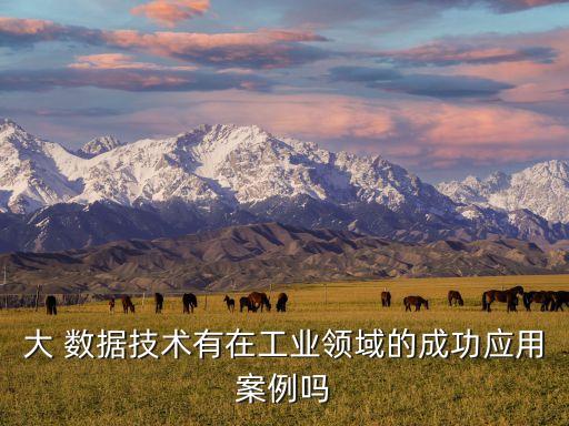大 數(shù)據(jù)技術(shù)有在工業(yè)領(lǐng)域的成功應(yīng)用案例嗎