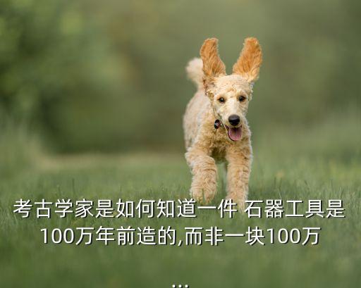 考古學(xué)家是如何知道一件 石器工具是100萬年前造的,而非一塊100萬...