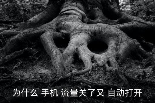 手機(jī)怎么自動走流量嗎,華為手機(jī)自動走流量怎么辦