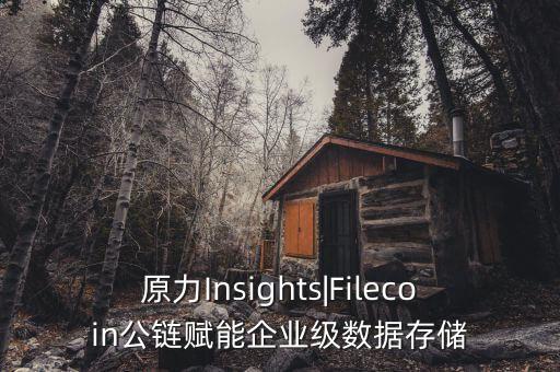 原力Insights|Filecoin公鏈賦能企業(yè)級(jí)數(shù)據(jù)存儲(chǔ)