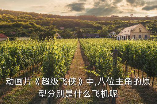 動畫片《超級飛俠》中,八位主角的原型分別是什么飛機呢