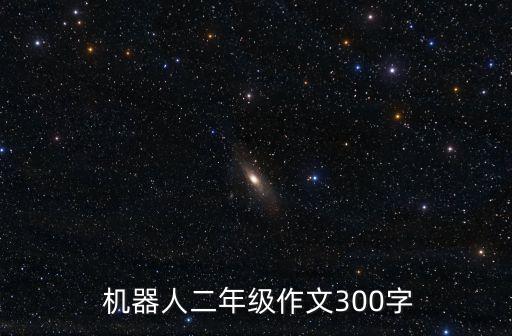  機器人二年級作文300字