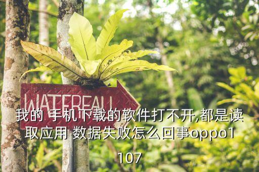 我的 手機下載的軟件打不開,都是讀取應(yīng)用 數(shù)據(jù)失敗怎么回事oppo1107