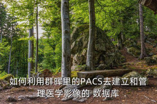pacs 數(shù)據(jù)怎么存儲(chǔ)