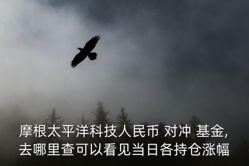 摩根太平洋科技人民幣 對(duì)沖 基金,去哪里查可以看見(jiàn)當(dāng)日各持倉(cāng)漲幅
