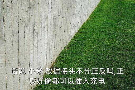 話說 小米 數據接頭不分正反嗎,正反好像都可以插入充電