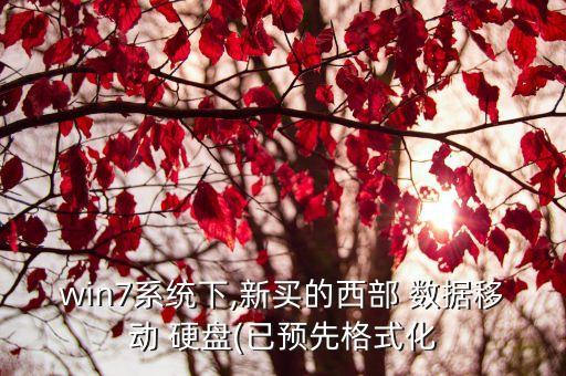 win7系統(tǒng)下,新買的西部 數(shù)據(jù)移動 硬盤(已預(yù)先格式化