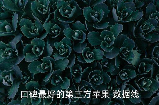 口碑最好的第三方蘋果 數(shù)據(jù)線