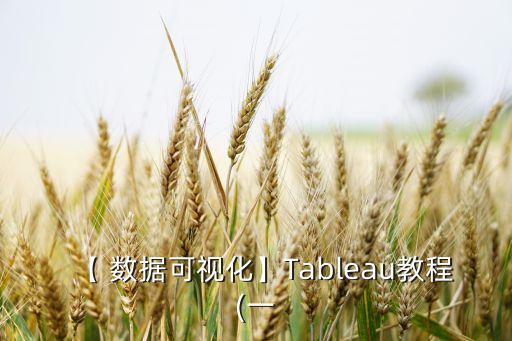 【 數(shù)據(jù)可視化】Tableau教程(一