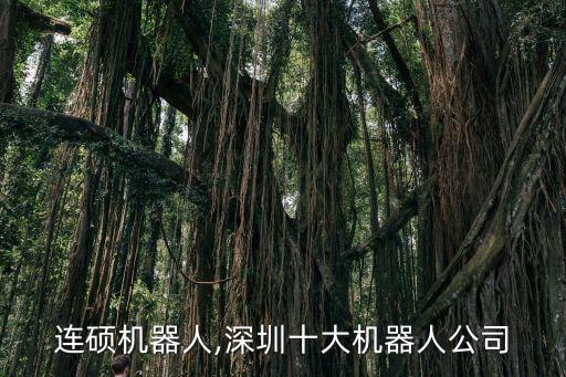 深圳連碩機器人,深圳十大機器人公司