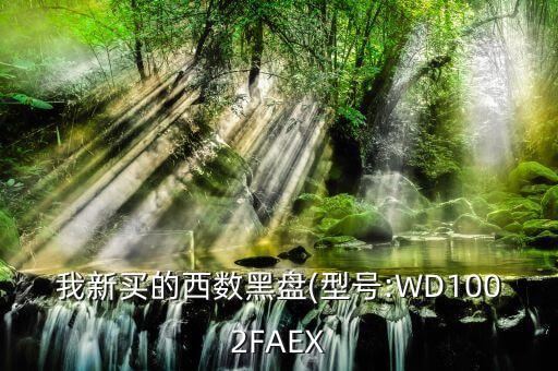 我新買的西數(shù)黑盤(型號:WD1002FAEX