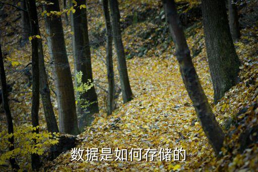 數(shù)據(jù)是如何存儲的