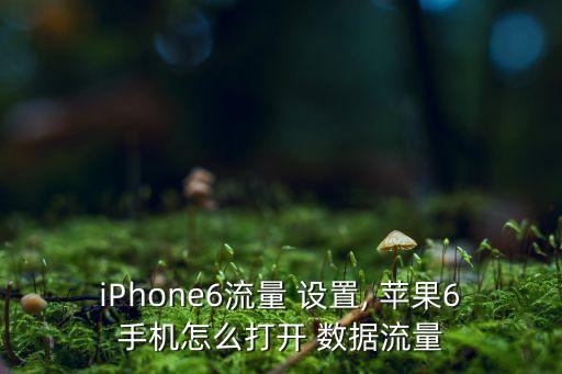 iPhone6流量 設(shè)置, 蘋果6手機怎么打開 數(shù)據(jù)流量