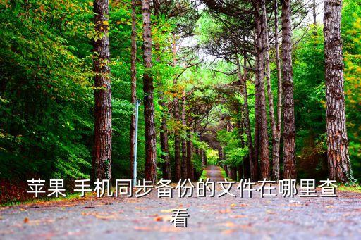 蘋果手機(jī)數(shù)據(jù)在哪里可以找到