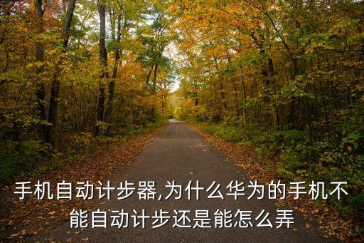 手機(jī)自動(dòng)計(jì)步器,為什么華為的手機(jī)不能自動(dòng)計(jì)步還是能怎么弄