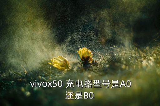 vivox5充電器和數(shù)據(jù)線