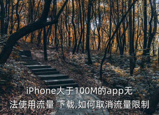 iPhone大于100M的app無法使用流量 下載,如何取消流量限制
