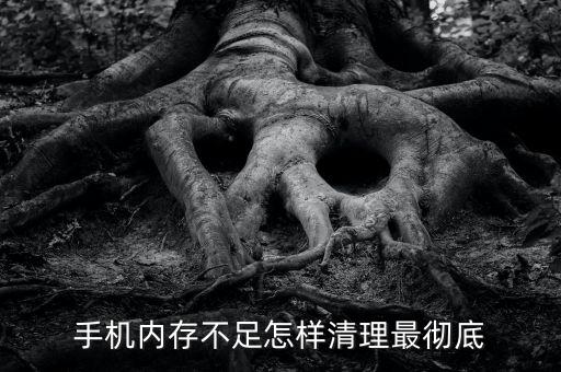 手機(jī)內(nèi)存不足怎樣清理最徹底