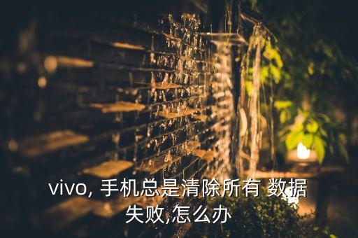 vivo, 手機(jī)總是清除所有 數(shù)據(jù)失敗,怎么辦