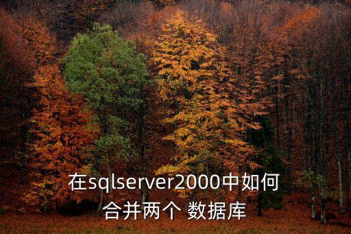 并購 數(shù)據(jù)庫,中國上市公司并購數(shù)據(jù)庫