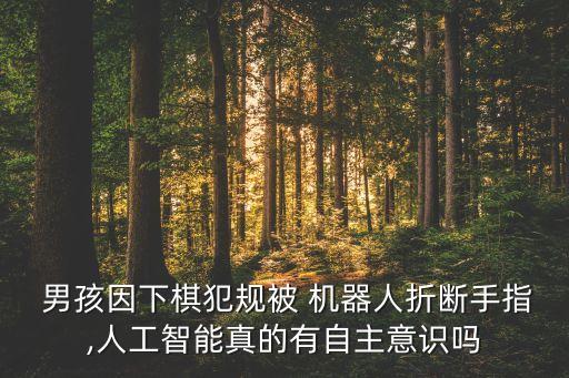 機(jī)器人和小男孩 者,有個小男孩撿了一個機(jī)器人