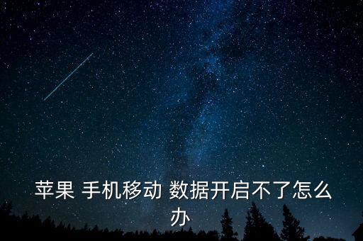  蘋果 手機(jī)移動(dòng) 數(shù)據(jù)開啟不了怎么辦