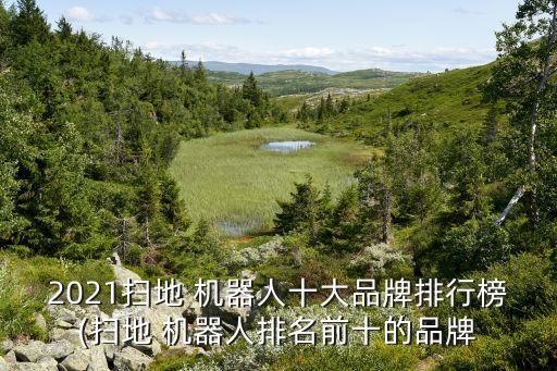2021掃地 機(jī)器人十大品牌排行榜(掃地 機(jī)器人排名前十的品牌