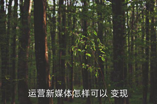 運(yùn)營(yíng)新媒體怎樣可以 變現(xiàn)