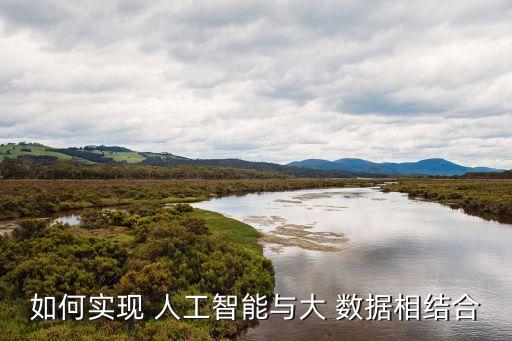 如何實現(xiàn) 人工智能與大 數(shù)據(jù)相結(jié)合