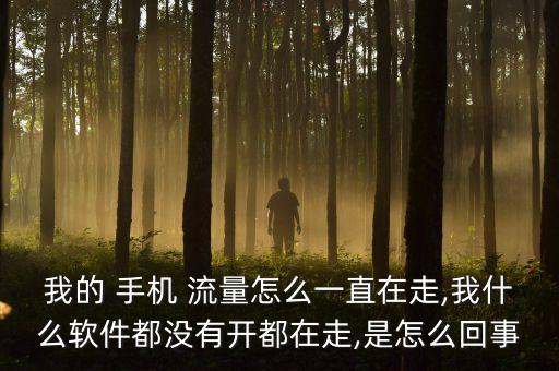 我的 手機(jī) 流量怎么一直在走,我什么軟件都沒(méi)有開(kāi)都在走,是怎么回事