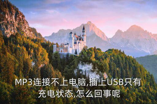 MP3連接不上電腦,插上USB只有 充電狀態(tài),怎么回事呢