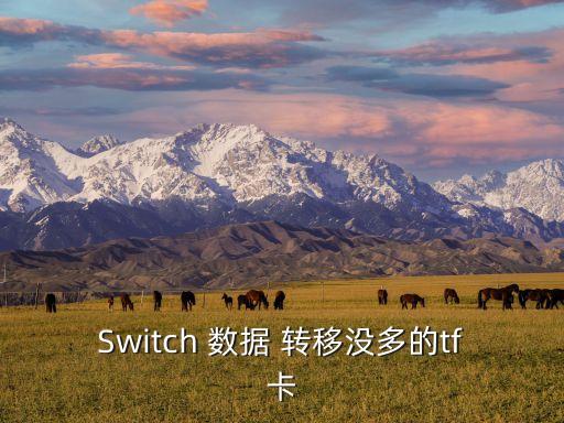 Switch 數(shù)據(jù) 轉(zhuǎn)移沒多的tf卡