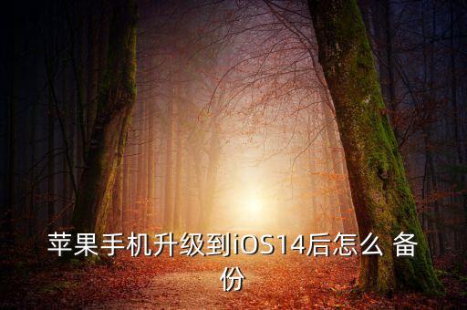 ios數(shù)據(jù)備份,數(shù)據(jù)備份的三種方法