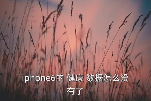 iphone6的 健康 數(shù)據(jù)怎么沒有了