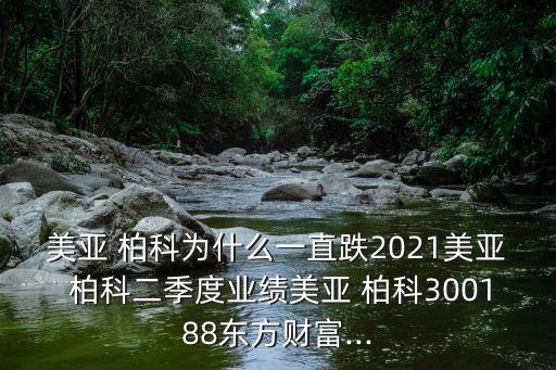 柏科數(shù)據(jù)技術(shù)(深圳)股份有限公司