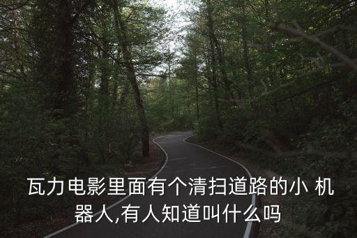  瓦力電影里面有個清掃道路的小 機器人,有人知道叫什么嗎