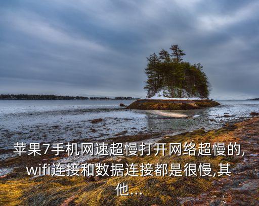 蘋(píng)果7手機(jī)網(wǎng)速超慢打開(kāi)網(wǎng)絡(luò)超慢的,wifi連接和數(shù)據(jù)連接都是很慢,其他...