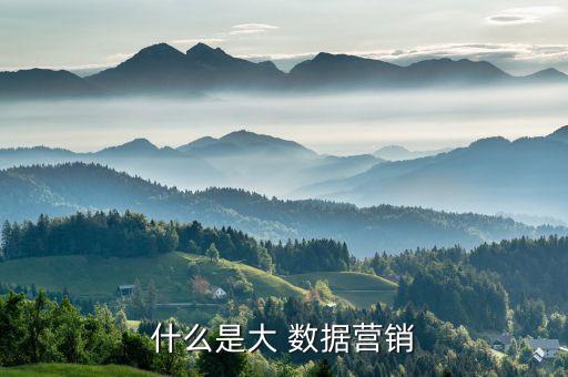 什么是大 數(shù)據(jù)營銷