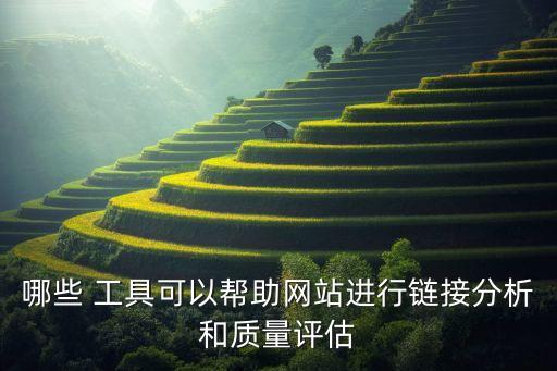 哪些 工具可以幫助網(wǎng)站進(jìn)行鏈接分析和質(zhì)量評(píng)估
