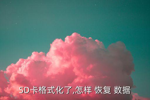 SD卡格式化了,怎樣 恢復(fù) 數(shù)據(jù)