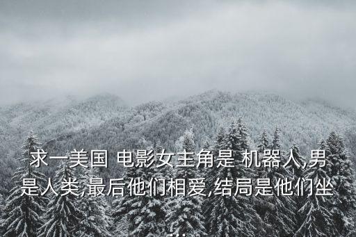 求一美國(guó) 電影女主角是 機(jī)器人,男是人類,最后他們相愛(ài),結(jié)局是他們坐...