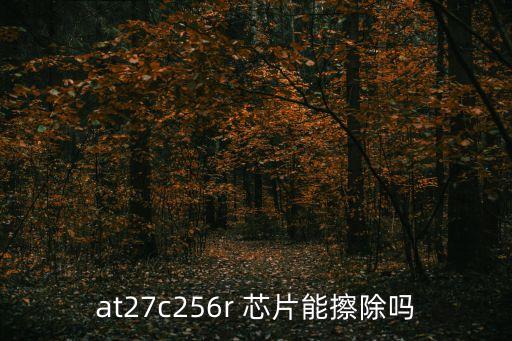 at27c256r 芯片能擦除嗎